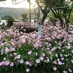 Skiathos Riviera Appartamento