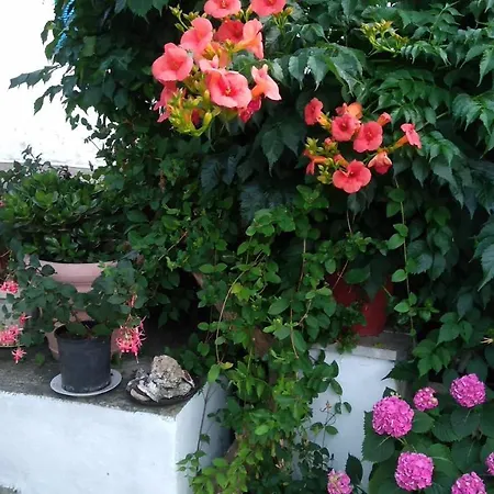 Apartment Skiathos Riviera Punta