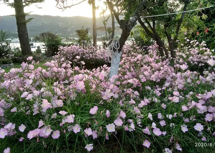 Skiathos Riviera 아파트