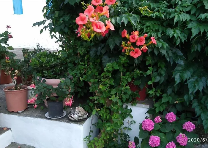 아파트 Skiathos Riviera 푼타